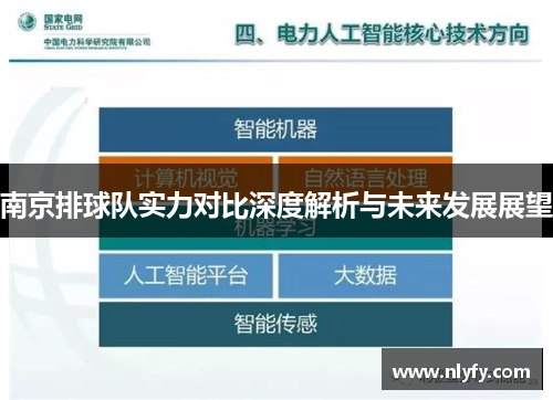 南京排球队实力对比深度解析与未来发展展望