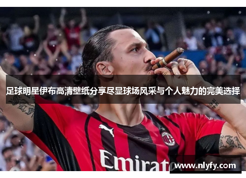 足球明星伊布高清壁纸分享尽显球场风采与个人魅力的完美选择